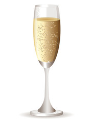 Champagne glass