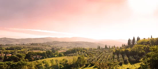 Foto op Plexiglas prachtig Toscaans landschap © Anna Khomulo
