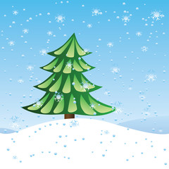 Obraz premium Green fir tree on slope