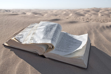 Bible dans le désert