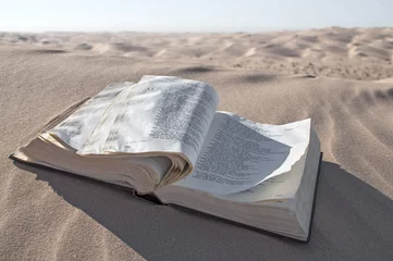 Deurstickers Bijbel in de woestijn © Shakzu