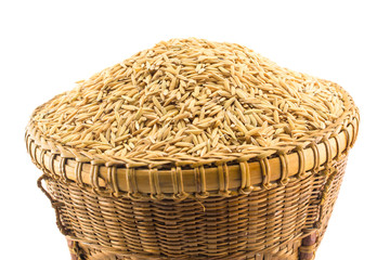 paddy rice in basket