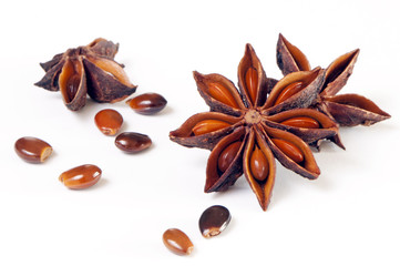 Star anise, star aniseed, or Chinese star anise
