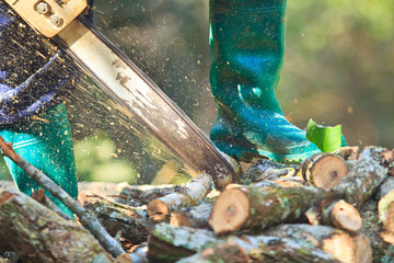 Cut firewood for home with a chainsaw
