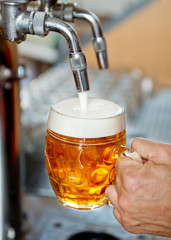 beer on tap