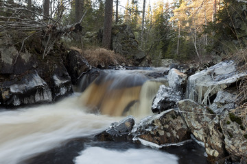 Early winter scene from Sweden, untouched nature