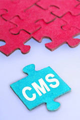 CMS word