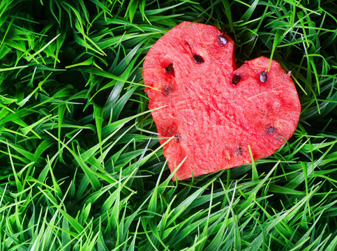 Watermelon heart on green grass. Valentine concept