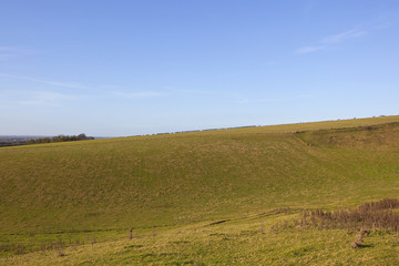yorkshire wolds pastures