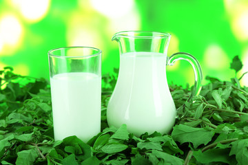 Pitcher and glass of milk on grass on nature background