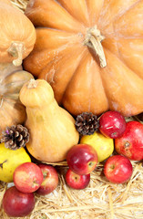 Autumn composition of fruits and pumpkins on straw close-up