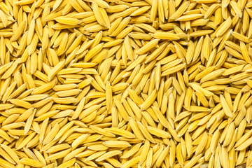 rice grain