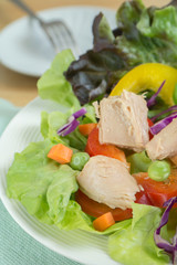 Vegetable salad with tuna