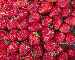 fresh strawberries for sale