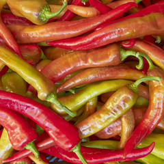 red hot chilli peppers for sale