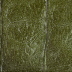 green leather texture.