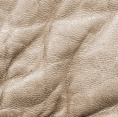 light brown crumpled leather