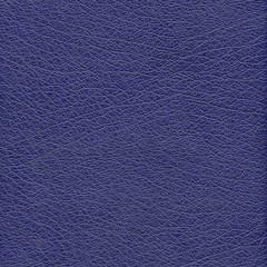 brown leather texture .