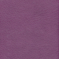 violet leather background
