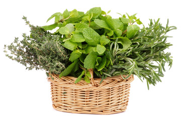 Naklejka premium Herbs in Basket