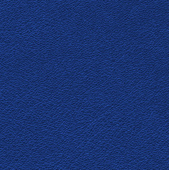 blue leather texture .