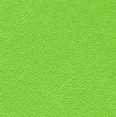 green leather texture