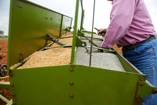 loading seeding machine with wheat seeds and fertilizer