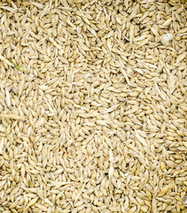 Close up chicken feed grain texture