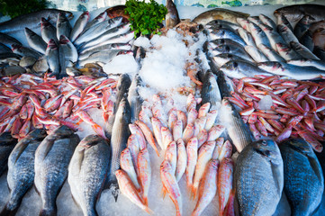 Fresh Fish