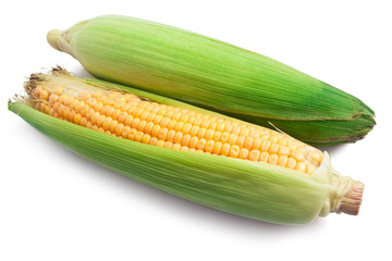 Corn