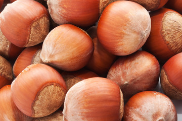 Hazelnuts or filbert