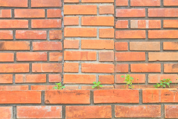 texture stone old Wall