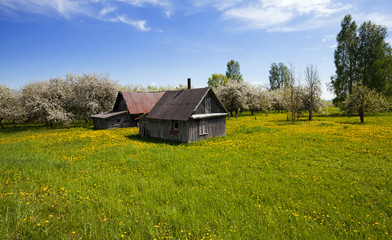 Plakat the house (spring)