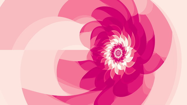 Pink flower seamless loop animation