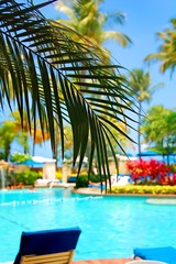 Fototapeta premium Tropical resort with swimming pool water palm trees blue sky