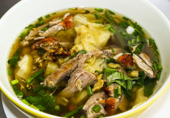 Dumpling duck noodle with vegetable