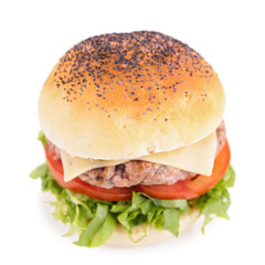 hamburger isolated