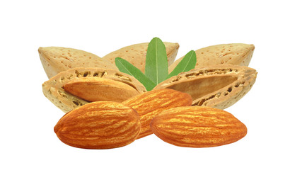 almond nuts on a white background