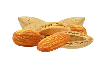 almond nuts on a white background
