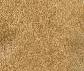 brown leather texture closeup