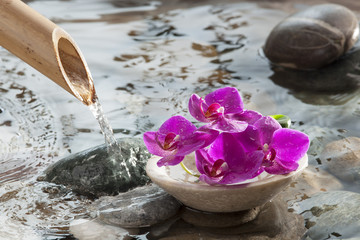 water meditation for natural beauty