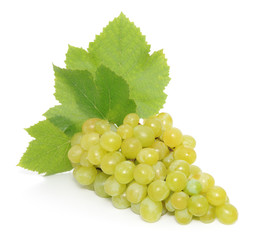 Obraz premium green grapes