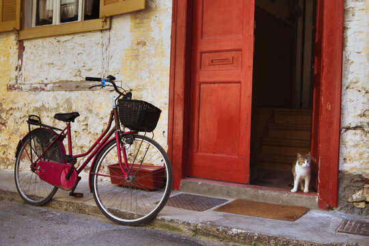 vintage bicycle and cat on the street, Greece