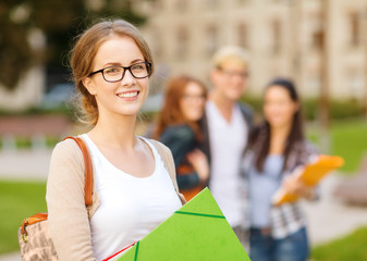 female student in eyglasses with folders - obrazy, fototapety, plakaty