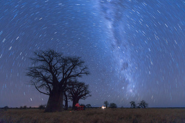 Baines Baobab Strartrail