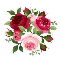 Red and pink roses. Vector illustration.