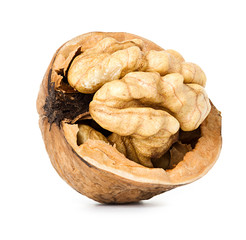 walnut half  isolated on the white background