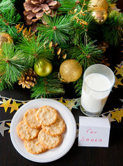Obraz na płótnie Canvas Cookies for Santa Claus.