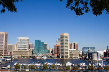 Baltimore Harbor Skyline - obrazy, fototapety, plakaty