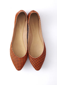 fotolia736